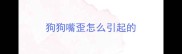 狗狗嘴歪怎么引起的