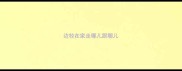 边牧在家走哪儿跟哪儿