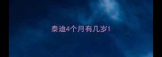泰迪4个月有几岁