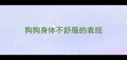 狗狗身体不舒服的表现