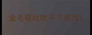 金毛呕吐吃不下东西