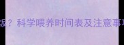 金毛幼犬多久可以吃饭科学喂养时间表及注意事项全附喂食指南
