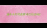 成年犬打完疫苗可以出去吗