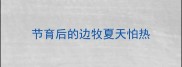 节育后的边牧夏天怕热