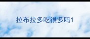 拉布拉多吃很多吗