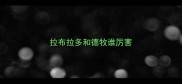 拉布拉多和德牧谁厉害