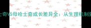 科学公哈士奇VS母哈士奇成长差异全从生理机制到饲养方案
