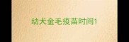 幼犬金毛疫苗时间