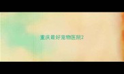 重庆最好宠物医院