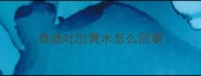 泰迪吐出黄水怎么回事