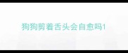 狗狗剪着舌头会自愈吗