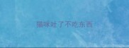 猫咪吐了不吃东西