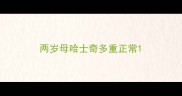 两岁母哈士奇多重正常