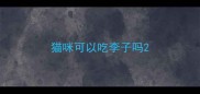 猫咪可以吃李子吗