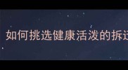 淘宝领养哈士奇幼崽避坑指南如何挑选健康活泼的拆迁队预备役附新手养宠全攻略
