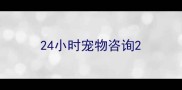 24小时宠物咨询