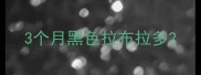 3个月黑色拉布拉多