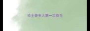 哈士奇多大第一次换毛