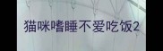 猫咪嗜睡不爱吃饭