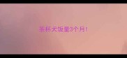 茶杯犬饭量3个月