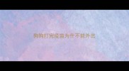 狗狗打完疫苗为什不能外出