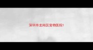 深圳市龙岗区宠物医院