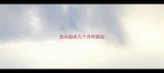 法斗幼犬几个月吃驱虫