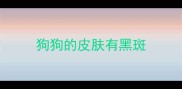 狗狗的皮肤有黑斑
