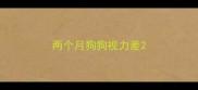 两个月狗狗视力差