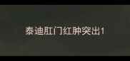 泰迪肛门红肿突出