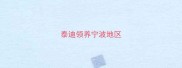 泰迪领养宁波地区