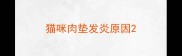 猫咪肉垫发炎原因
