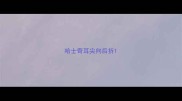 哈士奇耳尖向后折