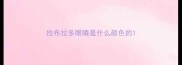 拉布拉多眼睛是什么颜色的
