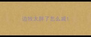 边牧太胖了怎么减