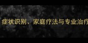 拉布拉多螨虫全攻略症状识别家庭疗法与专业治疗指南附用药清单