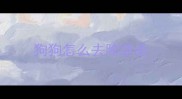 狗狗怎么去除跳蚤