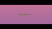 拉布拉多长大尺寸