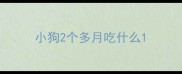 小狗2个多月吃什么