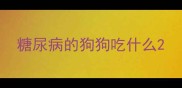 糖尿病的狗狗吃什么