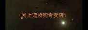 网上宠物狗专卖店