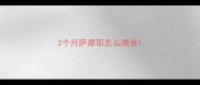 2个月萨摩耶怎么喂食