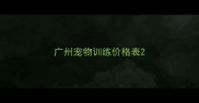 广州宠物训练价格表