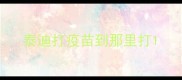 泰迪打疫苗到那里打