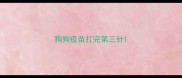 狗狗疫苗打完第三针