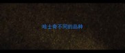 哈士奇不同的品种