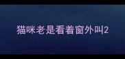 猫咪老是看着窗外叫