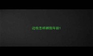边牧怎样辨别年龄
