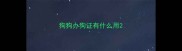 狗狗办狗证有什么用