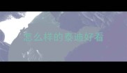 怎么样的泰迪好看